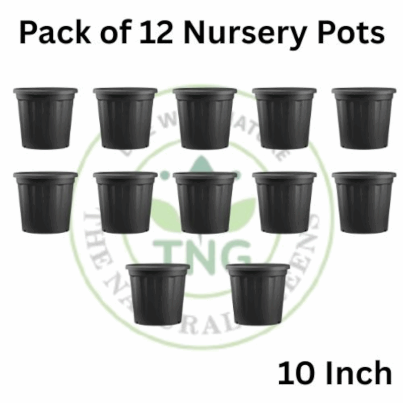 10-inch Nursery Pot (Pack of 12)