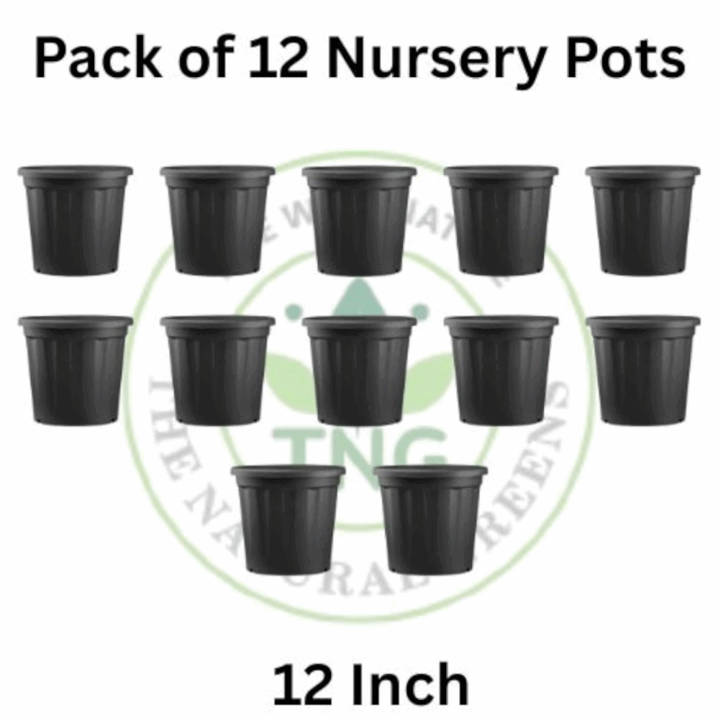12 Inches of Nursery Pots (Pack of 12)