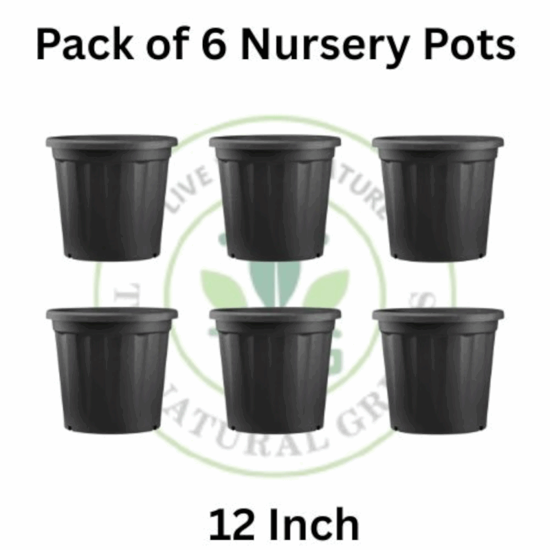 12 inches Nursery Pots (Pack of 6)
