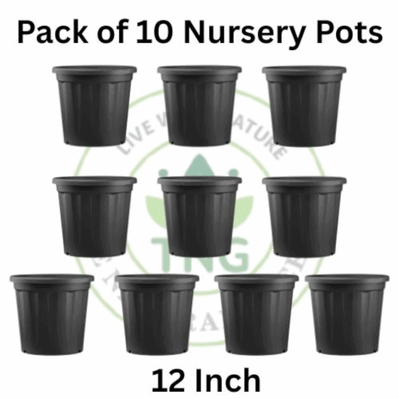 12 Inches Nursery pots (Pack of 10)